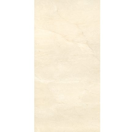 پرشین کاشی ایرانیان